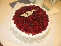 Yhdistyksemme täytti 90-vuotta lokakuussa 2011.